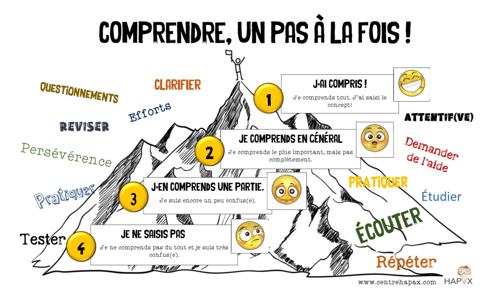 outils-sur-les-biais-cognitifs-distorsions-cognitives-virginie